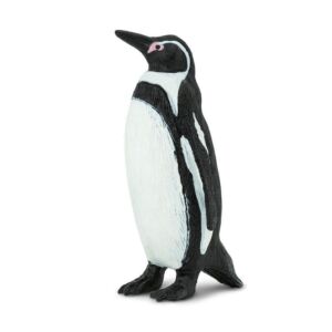 SAF276229 1 humboldt penguin