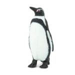 SAF276229 2 humboldt penguin
