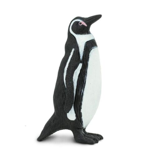 SAF276229 3 humboldt penguin