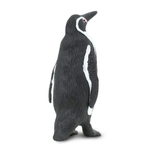 SAF276229 4 humboldt penguin