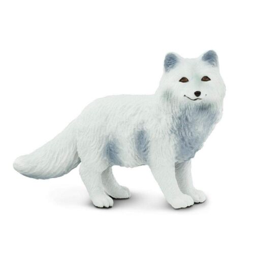 SAF282329 1 arctic fox