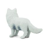 SAF282329 2 arctic fox