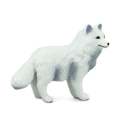 SAF282329 3 arctic fox