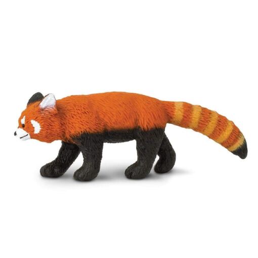 SAF283429 1 red panda