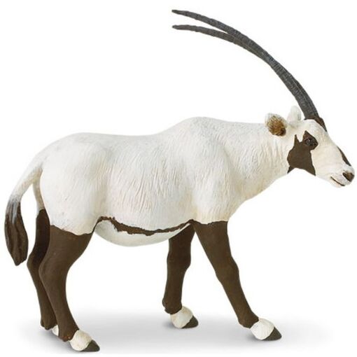 SAF284829 1 arabian oryx