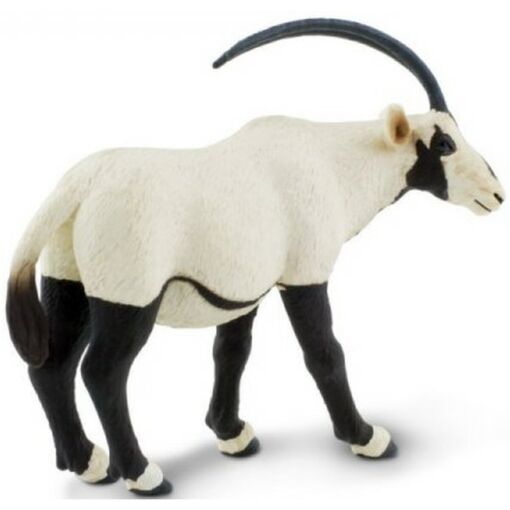 SAF284829 3 arabian oryx