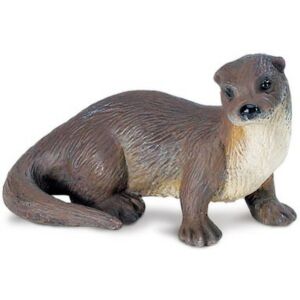 SAF291529 1 river otter
