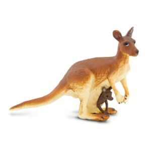 SAF292029 1 kangaroo with baby
