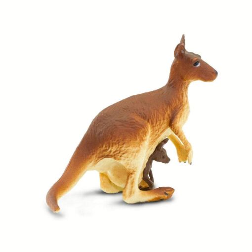 SAF292029 2 kangaroo with baby