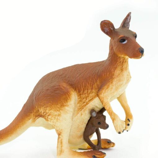 SAF292029 5 kangaroo with baby
