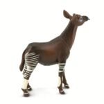 SAF292529 2 okapi