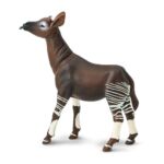 SAF292529 3 okapi