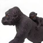 SAF294729 4 lowland gorilla with baby