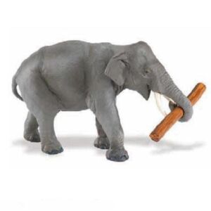SAF295529 1 asian elephant with log