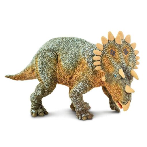 SAF100085 2 regaliceratops