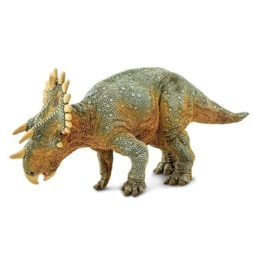 SAF100085 3 regaliceratops