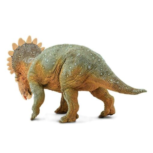 SAF100085 4 regaliceratops