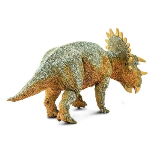SAF100085 5 regaliceratops