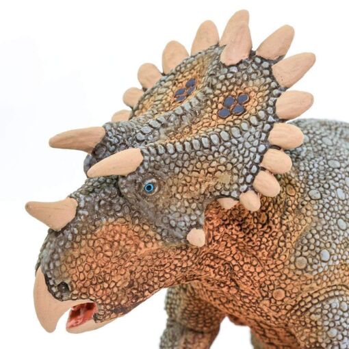 SAF100085 6 regaliceratops