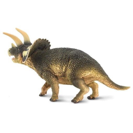 SAF100153 3 triceratops