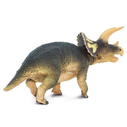 SAF100153 4 triceratops