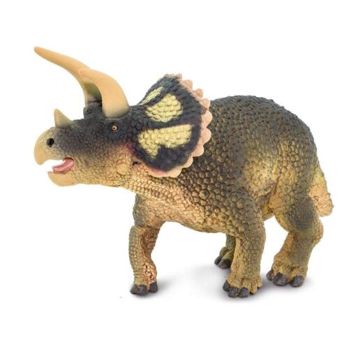 SAF100153 5 triceratops