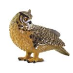 SAF100364 5 eagle owl