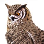 SAF100364 6 eagle owl