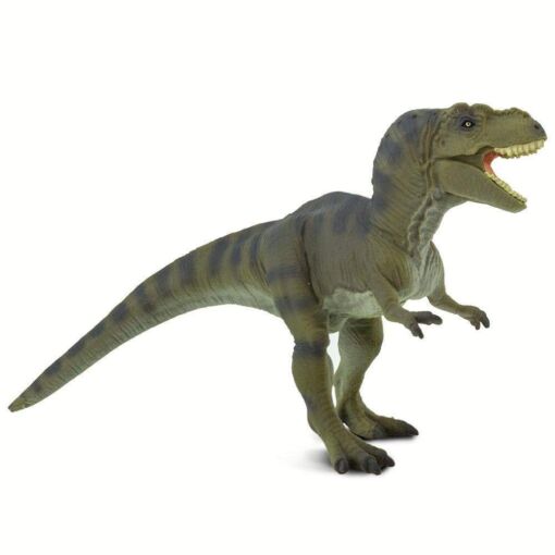 SAF100423 4 tyrannosaurus rex