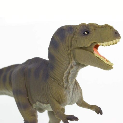 SAF100423 5 tyrannosaurus rex