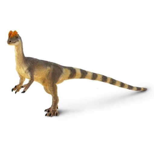 SAF100508 1 dilophosaurus