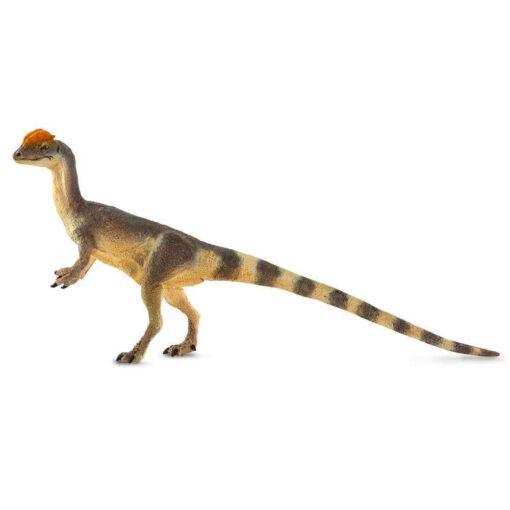 SAF100508 2 dilophosaurus