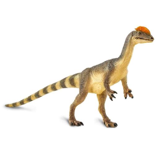 SAF100508 3 dilophosaurus