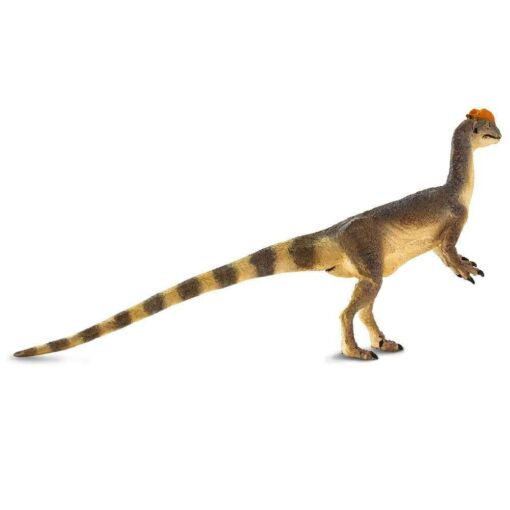 SAF100508 4 dilophosaurus