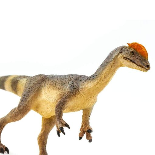 SAF100508 5 dilophosaurus