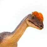 SAF100508 6 dilophosaurus