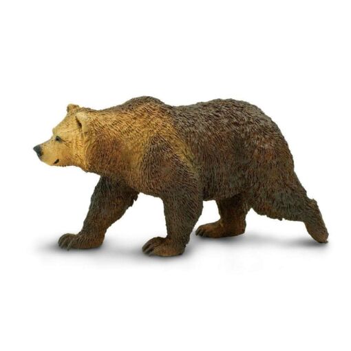SAF181329 1 grizzly bear
