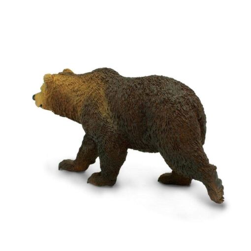 SAF181329 2 grizzly bear