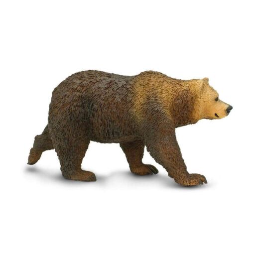 SAF181329 3 grizzly bear
