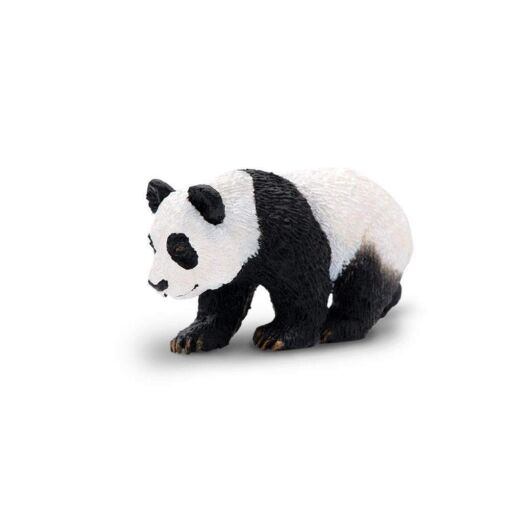 SAF228829 1 panda cub