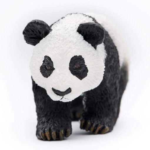 SAF228829 4 panda cub