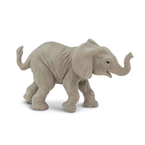 SAF270129 1 african elephant baby
