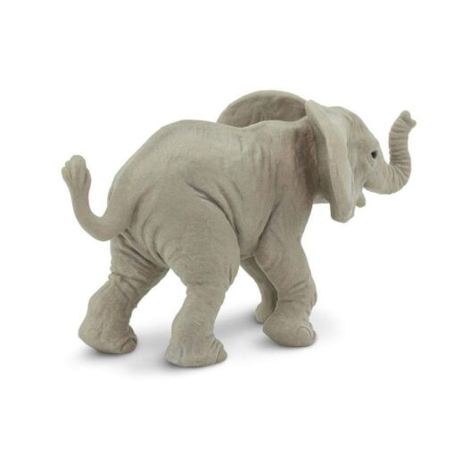 SAF270129 2 african elephant baby