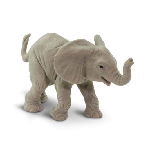 SAF270129 3 african elephant baby