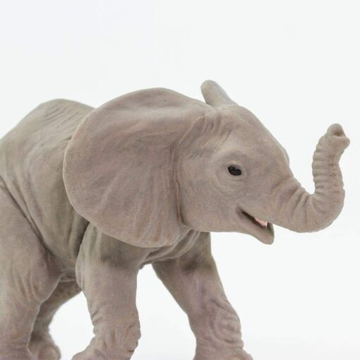 SAF270129 4 african elephant baby