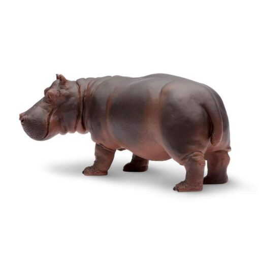 SAF270429 2 hippopotamus