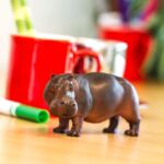 SAF270429 5 hippopotamus