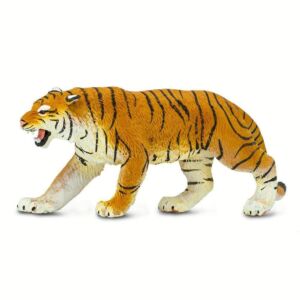 SAF270829 1 bengal tiger