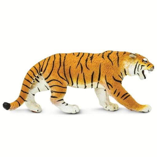 SAF270829 3 bengal tiger