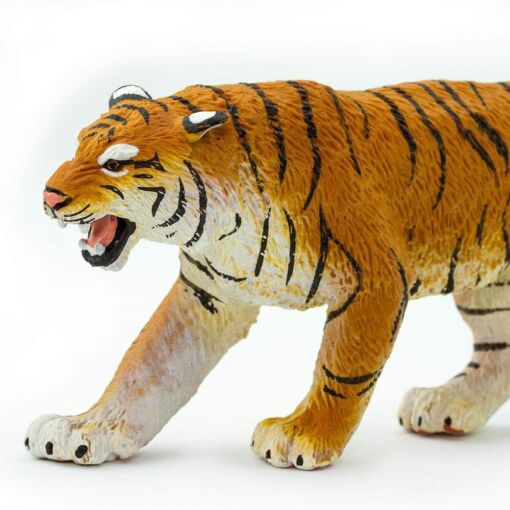 SAF270829 4 bengal tiger